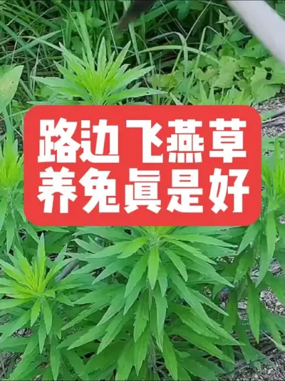 ·߷Ǻ #ũ###ι#