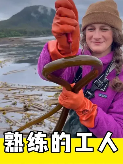 Ĺ # #͸ǻ #ѹ #ѹƵ #ϵ