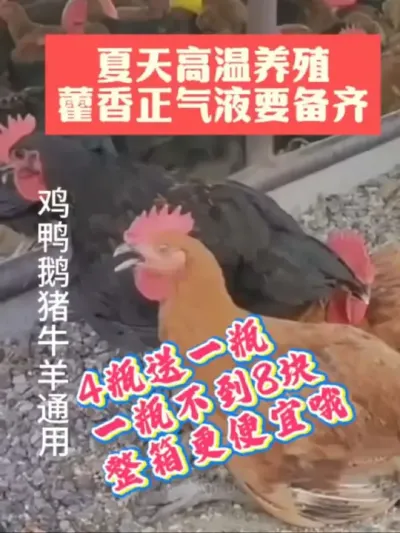 һſͬ촭̭½ҵ޽Һ####޽Һ#ѧ