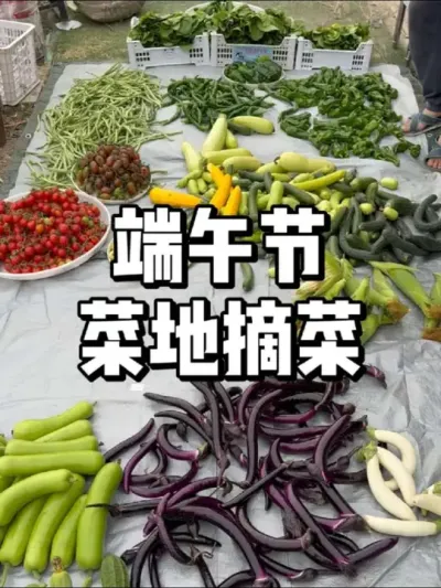 ժ˴ժ˺üٽ 