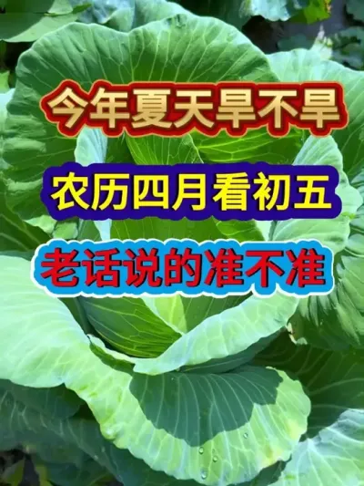 今年夏天旱不旱农历四月看初五老话说的准不准 #农业种植 #种植小技巧 #三农 #一份耕耘一份收获 #三农节气