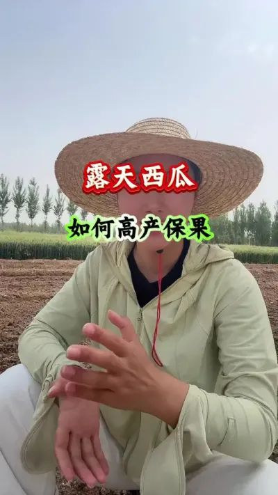 西瓜种植 露天西瓜如何高产保果 #露天西瓜 #西瓜种植 #西瓜管理 #膨大增甜