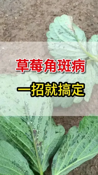 ʱ(й)ǲ!
