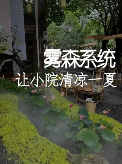 СǮ£ũׯСԺ #СԺˢ #СԺʱ ## #ɻ
