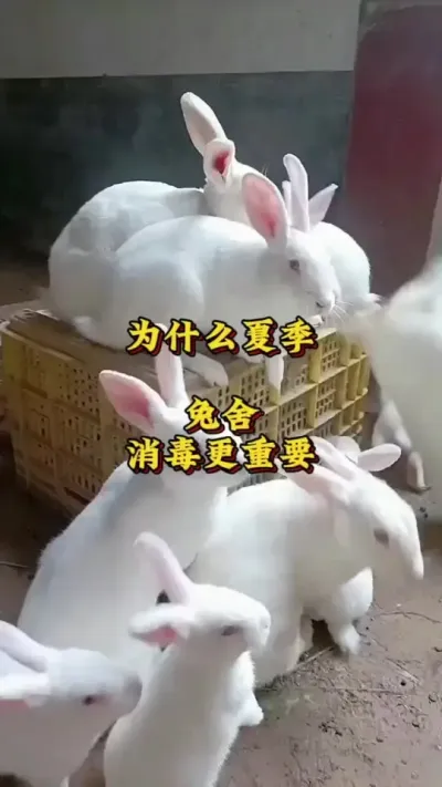 ΪʲôøҪ# #ɢ # #ũ֧ũ #