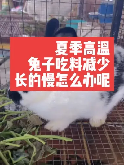 ոӳ̭ô #ũ####
