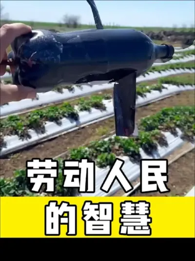 #劳动人民的智慧#神操作 #高手在民间 #生活小妙招