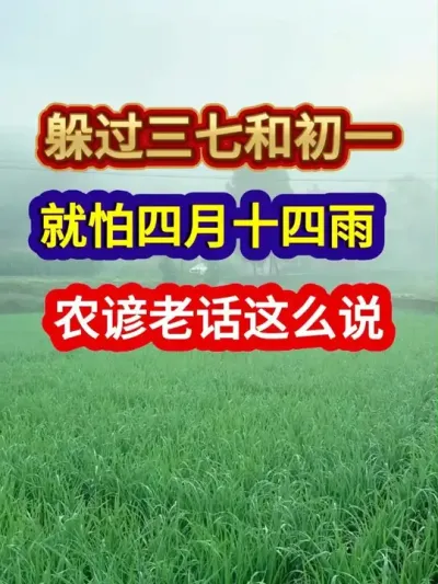 躲过三七和初一就怕四月十四雨农谚老话这么说 #农业谚语 #农谚 #农谚老话 #农业种植 #三农