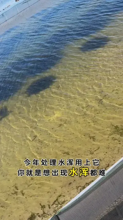 今年处理水浑用上它，一年到头想水浑都难。#鱼虾蟹养殖 #大闸蟹养殖 #河蟹养殖 #三农 #粪净肽 @DOU+小助手