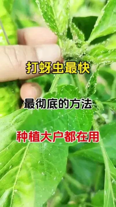 溦䷽#ʭ #˫ɱ #ũ #ũ