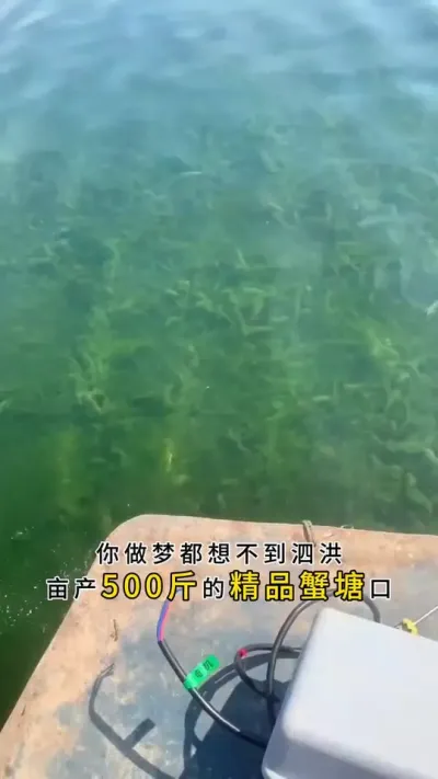你做梦都想不到调水，竟然如此简单。#大闸蟹养殖 #螃蟹养殖 #鱼虾蟹养殖 #粪净肽 #三农 @DOU+小助手