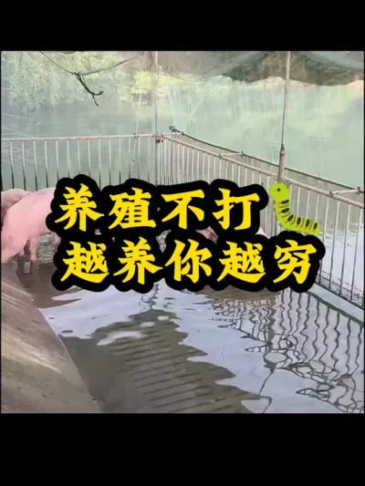 #养猪人 #三农养猪人 #养猪人加油干 #自繁自养养猪人 #养好猪