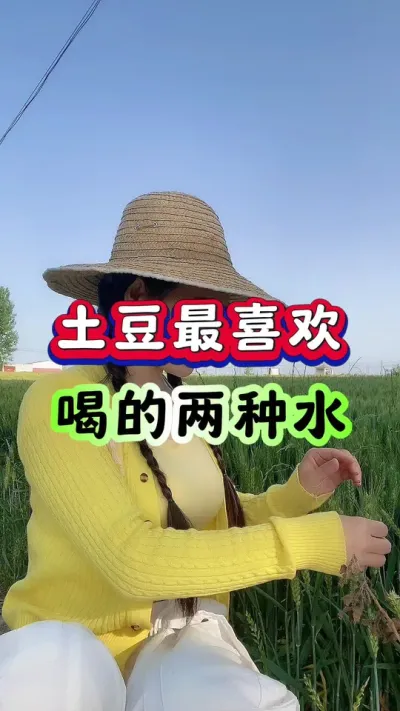 土豆最喜欢喝的水#土豆高产种植 #马铃薯种植 #洋芋种植 #土豆种植技术#三农种植