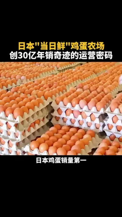 日本当日鲜鸡蛋农场创30亿年销奇迹的运营密码 #农场 #乡村振兴 #三农 #运营 #牧场