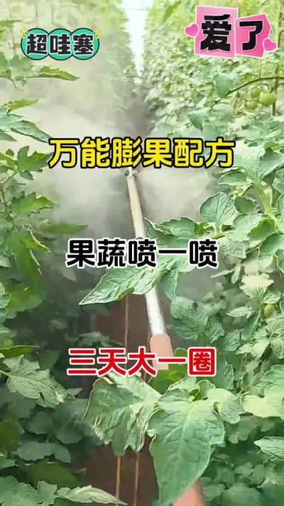 ȫ㶨СһʹϹ߲˶# # #ũ