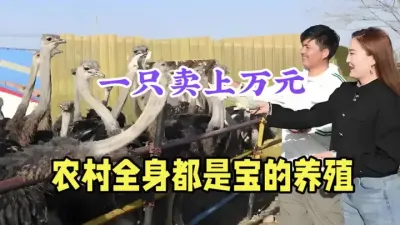 农村冷门特种养殖，1只卖上万元，100只年赚80万，全身是宝 #农村致富好项目 #返乡创业新农人 #特种养殖 #鸵鸟养殖 #抖音助农