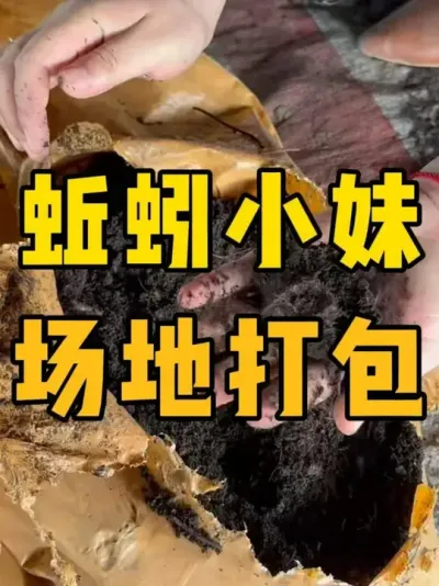 Сý̸ɸ԰ôȥ#ֳ #ũ #ũ崴ҵ