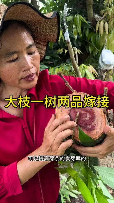 ֦һƷ޽#޽ #ũ2025 #dou㶫 #dou
