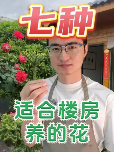 七种适合在楼房养的花！ #养花  #花卉绿植  #养花小知识