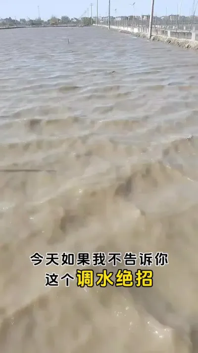 如果我不告诉你这个调水的绝招你就是再养几年也是瞎摸索#鱼虾蟹养殖 #河蟹养殖 #三农 #螃蟹养殖 #粪净肽 @DOU+小助手
