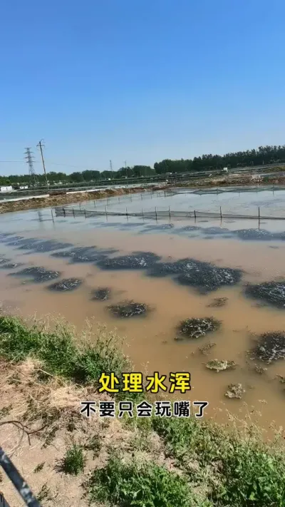 处理水浑不要在只会去玩嘴了。#螃蟹养殖 #鱼虾蟹养殖 #大闸蟹养殖 #粪净肽 #三农 @DOU+小助手