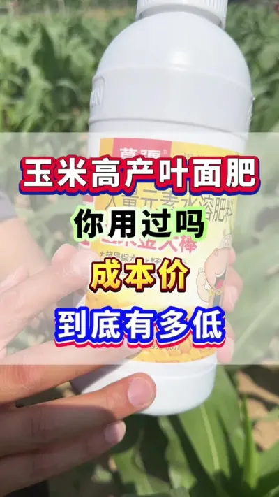 玉米增产专用叶面肥，您用过吗？ #玉米种植 #玉米高产 #玉米叶面肥 #玉米金大棒 #玉米施肥