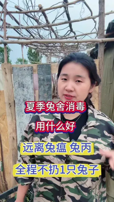 兔子问题多，伤亡大，用什么消毒远离兔丙，成活率9成9#兔子 #养兔人 #肉兔 #养兔人#兔子养殖