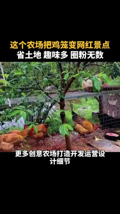 这个农场把鸡笼变网红景点，圈粉无数 #农场 #农庄 #新农业 #乡村振兴 #乡村振兴dou行动