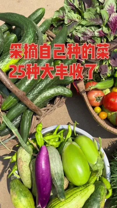 Դֲ˻ѾһϹֲٴӭժ25ֲÿһ˶ϲ˶۵Ĳ԰˷ܵúϲ£#յļ #¥ֲ #ֲ #ǿ