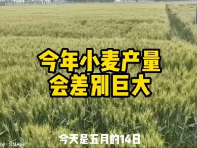 #农业人话农业#抖音助农 #满益佳拌花生预防死苗
