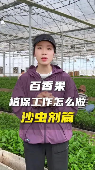 常用杀虫剂在这了～看到你们叶片或者蓝板虫口密度过大就要采取措施了，不要再拿叶子上都是虫洞的问我是什么咬的，我还没有超能力可以从&ldquo;洞&rdquo;判断虫子品种（除非拍板子上黏的虫给我看）😂#百香果 #百香果种植技术