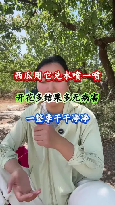 西瓜种植 西瓜用它兑水喷一喷开花多结果多无病害一整季干干净净 #病害防治 #西瓜管理 #西瓜种植