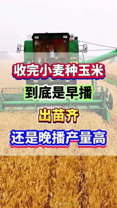 С粥վ#ݪֲ #׸߲ #ݪֲ #ʩ