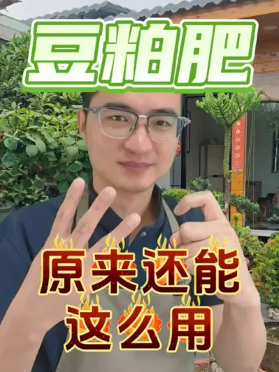 豆粕肥原来还能这么用！#养花 #花卉绿植 #豆粕肥