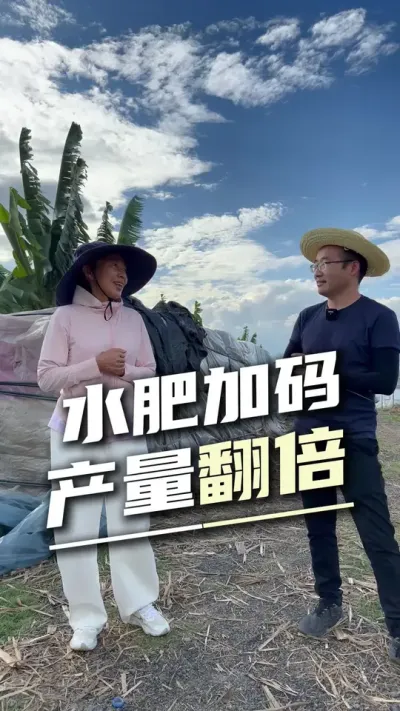 在老天爷赏饭吃的德宏搞农业+水肥精准调控，种出的贝贝南瓜根本不愁销#水肥一体化设计 #水域怎产 #设施助农 #精准灌溉