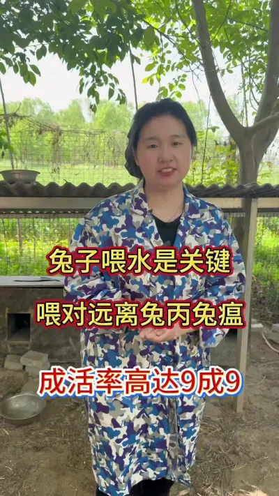 兔子突然伤亡，陆陆续续的伤亡，学会这样喂，成活率高达9成9#兔子 #养兔人 #肉兔养殖 #兔子养殖