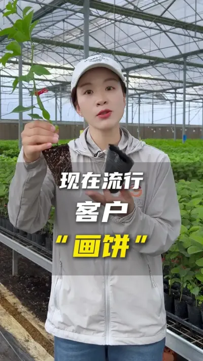 客户朋友们的&ldquo;饼&rdquo;爱吃，好吃！你们种植顺利哈！😁#百香果种植技术 #百香果 #农业种植 #抖音助农 #台农一号