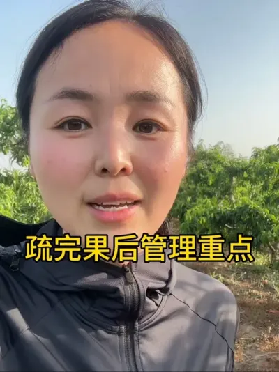 桃树疏果后 #果树种植管理 #分享农业植保技术知识传播正能量 #分享桃树疏果