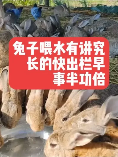 ιˮпι°빦ӳĿ ##ũ#ֳ##