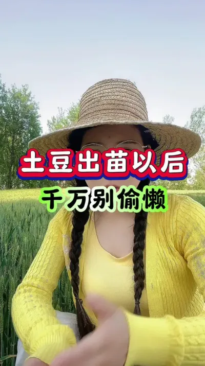 土豆出苗以后千万别偷懒#土豆高产种植 #马铃薯种植 #洋芋种植#土豆种植技术#三农种植