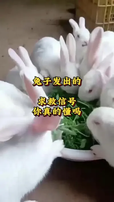 ӷźĿ###շ#