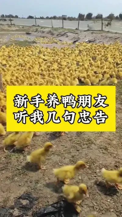 Ѽ٭Ҽ#Ѽ #Ѽ #Ѽ#Ѽշ #ѼС