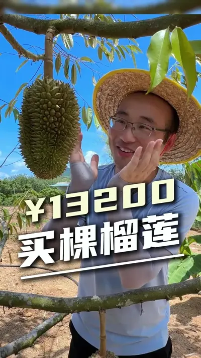 13200һ# # # #ˮһ廯