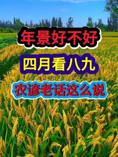 年景好不好四月看八九农谚老话这么说 #农谚 #农业种植 #农业谚语 #三农 #三农节气