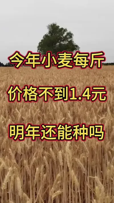 СǮ#С #СǮ #СǮ @