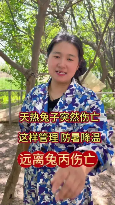 天热兔子陆陆续续伤亡，采食量不好，关键在于饲养管理的方法，做对远离兔丙防暑降温#兔子 #养兔人 #肉兔养殖 #科学养兔 #散养兔