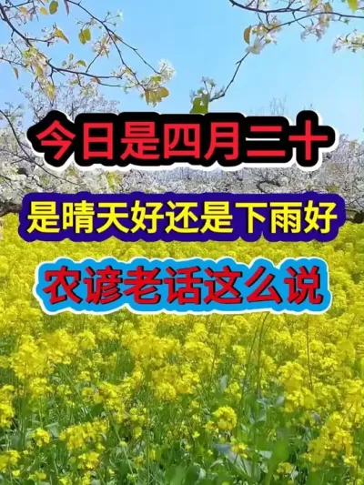 四月二十这天是晴天好还是下雨好农谚老话是这么说的 #农业谚语 #三农 #农业种植 #农谚 #农谚老话