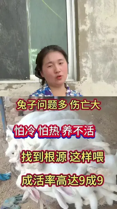 小兔突然伤亡，养不活，养不大，怕热，粪便不成型，找到根源，用对方法事半功倍，这样喂成活率高达9成9#兔子 #养兔 #肉兔养殖 #兔子养殖 #养兔技术