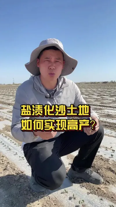 盐渍化沙土地，该如何实现高产？ #沙土地 #盐碱地 #棉花种植专家讲座 @抖音小助手
