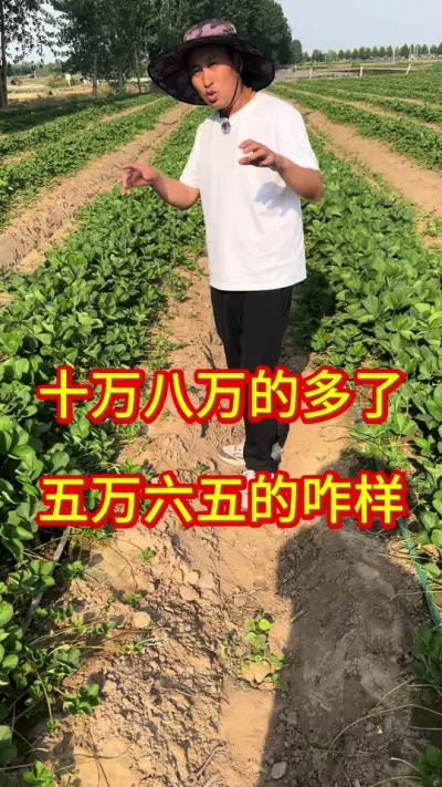 #ݮ